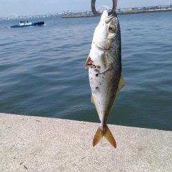 梅雨明け秒読み